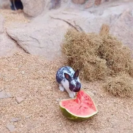 Gardunha Stone 펜션 Lourical do Campo