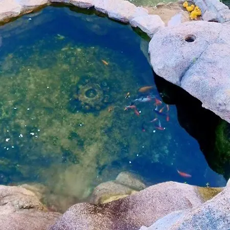 펜션 Gardunha Stone *