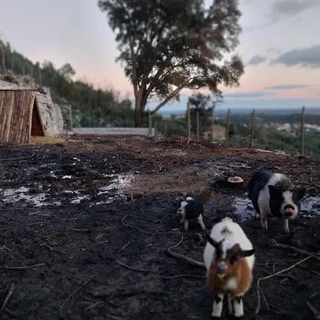 Gardunha Stone * Lourical do Campo