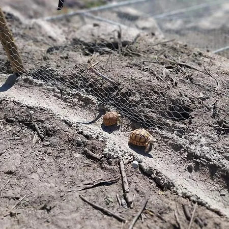 펜션 Gardunha Stone