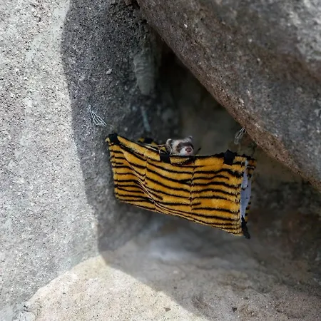 Gardunha Stone 펜션 Lourical do Campo