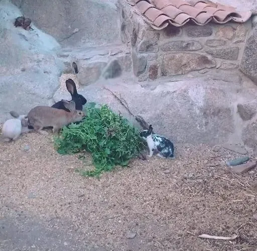 Gardunha Stone * Lourical do Campo