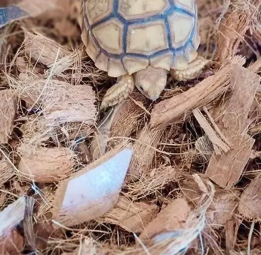 Gardunha Stone Semesterbostad