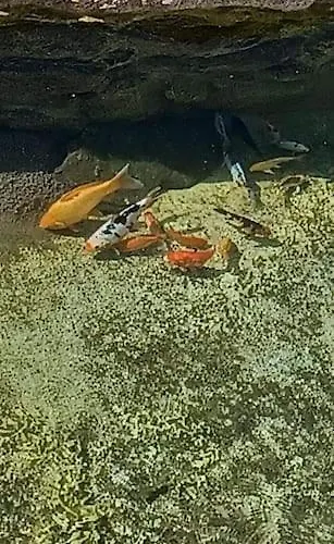 Gardunha Stone Lourical do Campo