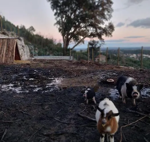 Gardunha Stone * Lourical do Campo