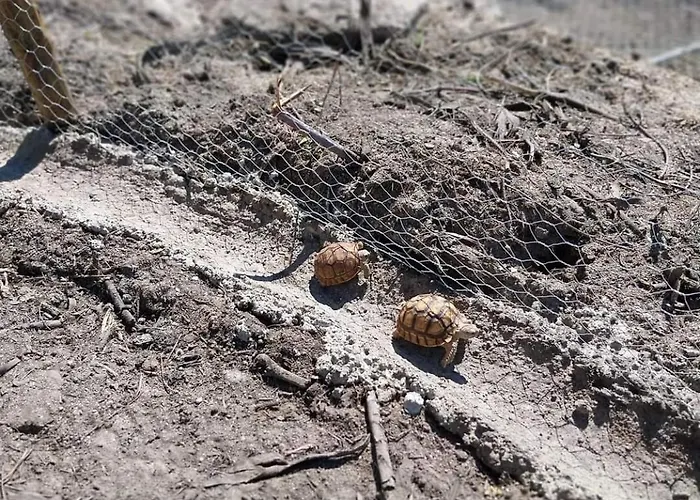 Semesterbostad Gardunha Stone