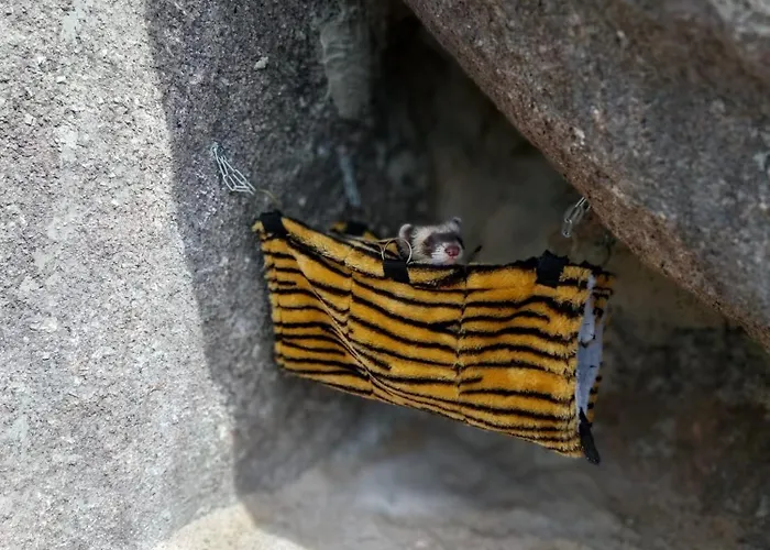 Gardunha Stone Semesterbostad Lourical do Campo